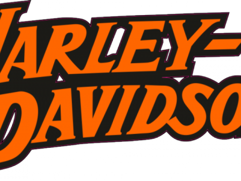 the harley davidson logo