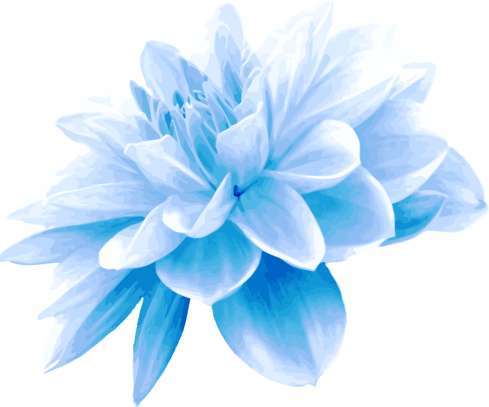 a blue flower on a white background