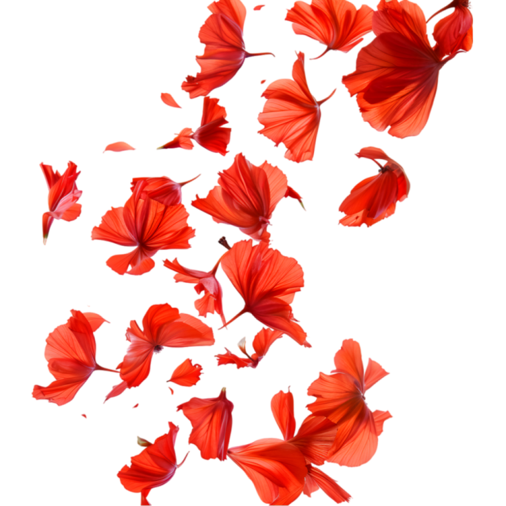 a bunch of red flowers floating in the air