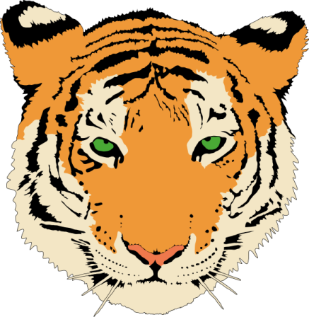 a tiger's face with green eyes