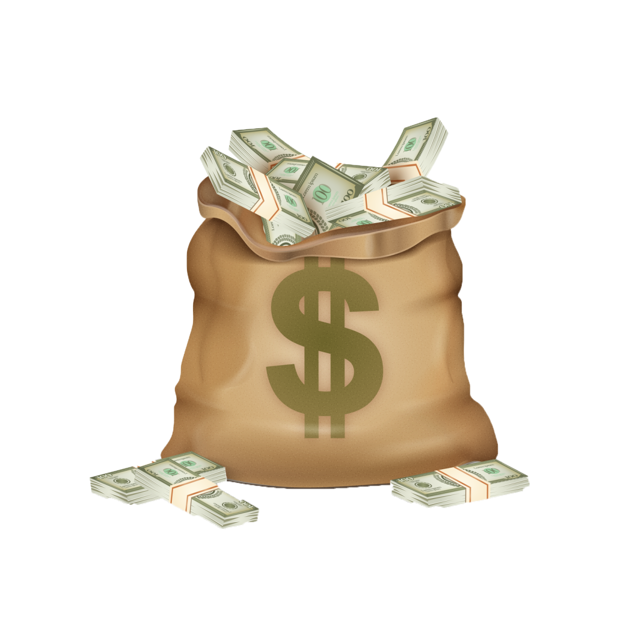 a bag full of money png