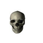 an image of a skull on a white background