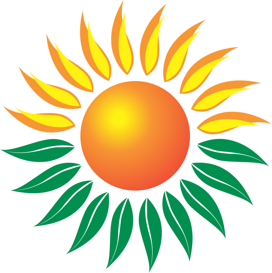 a sun with green leaves on it