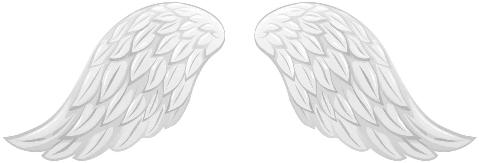 two white angel wings on a white background