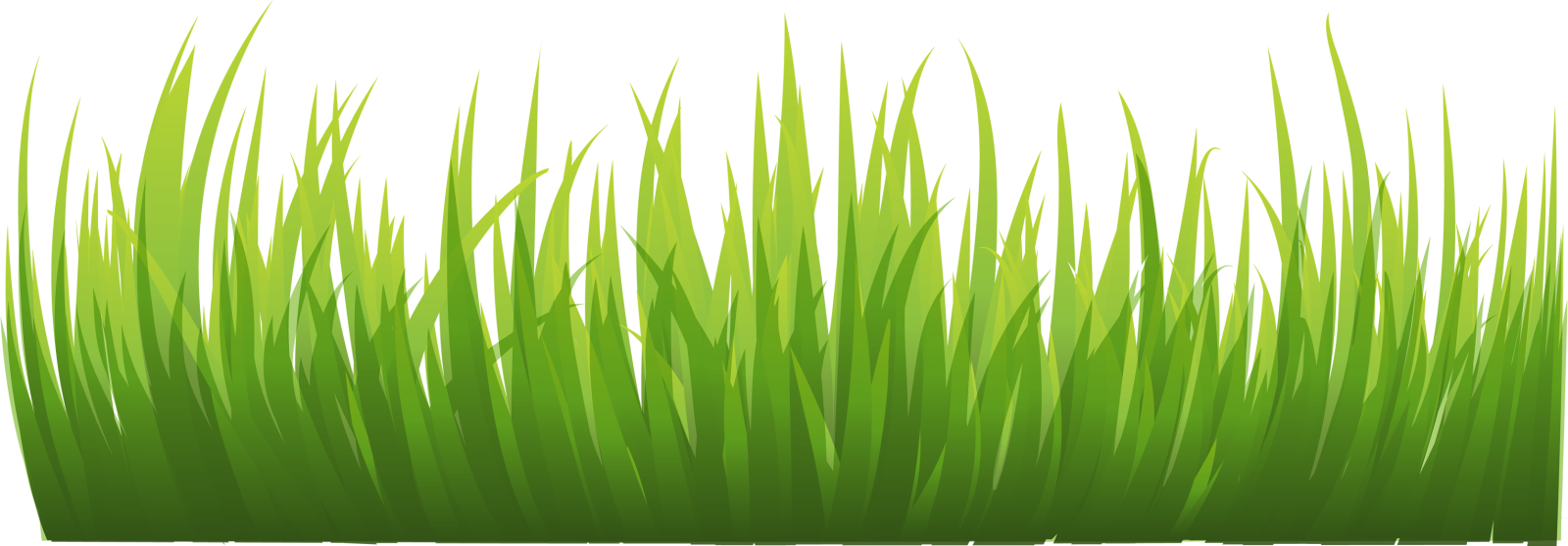 green grass clipart png