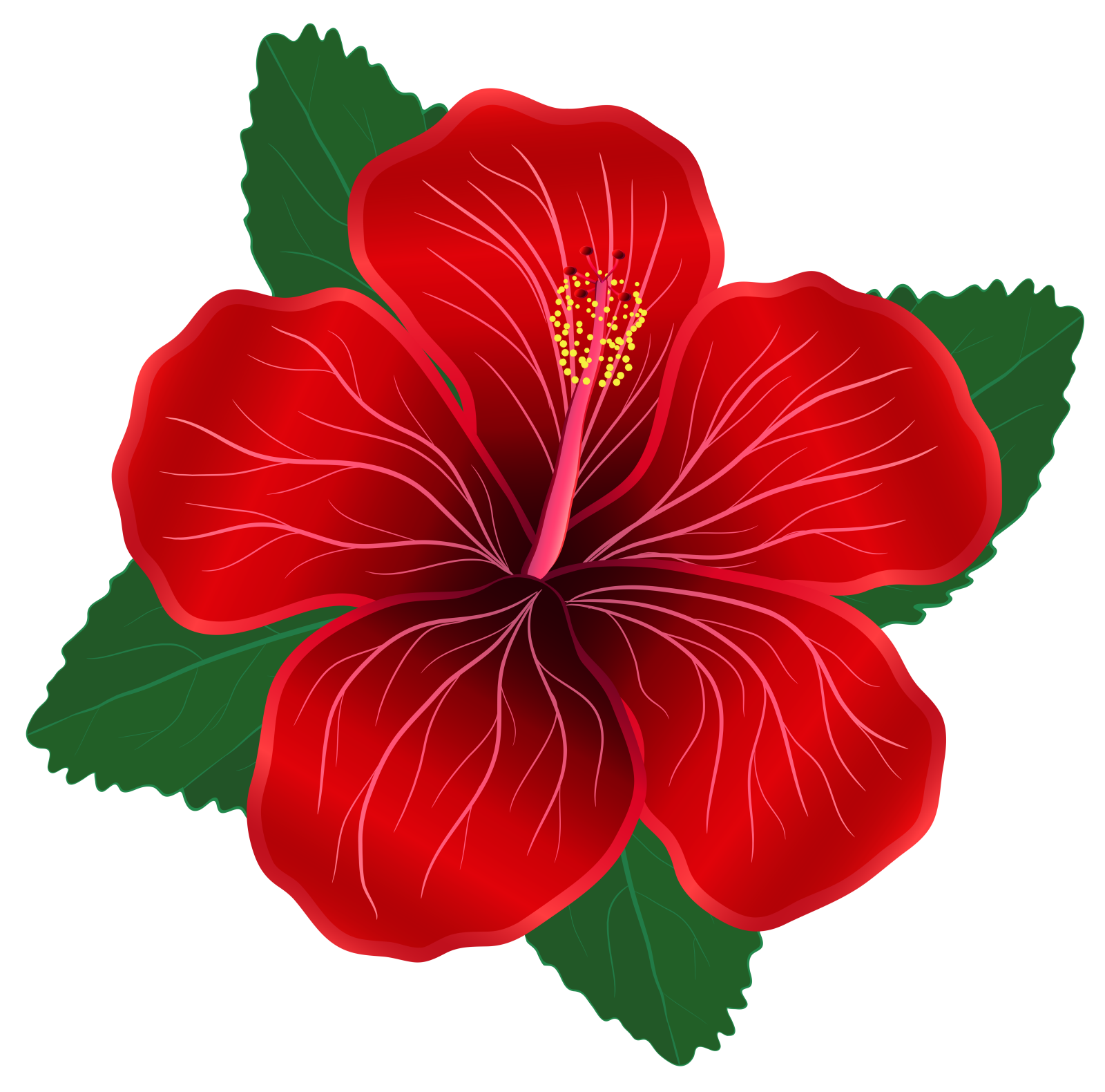 a red flower with green leaves