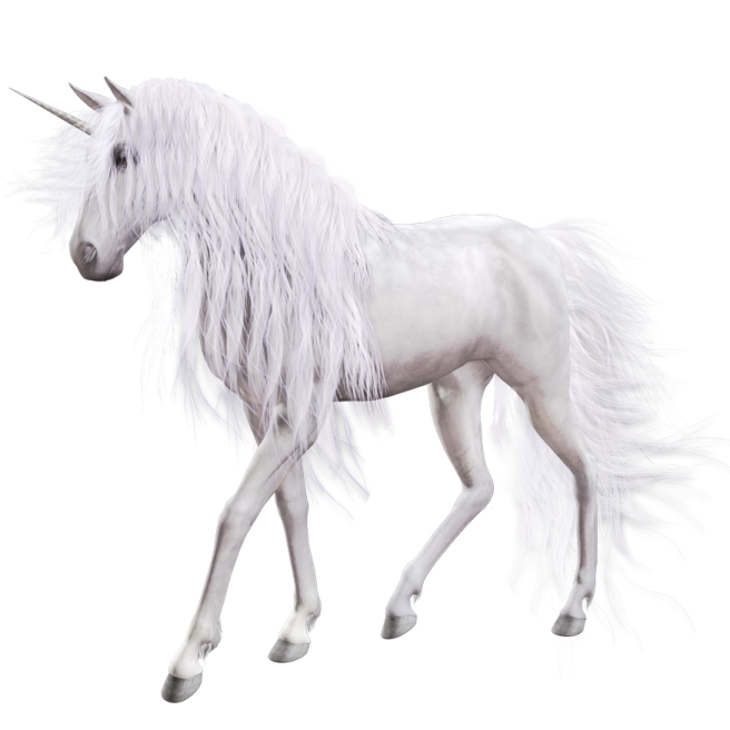 a white unicorn with long hair walking
