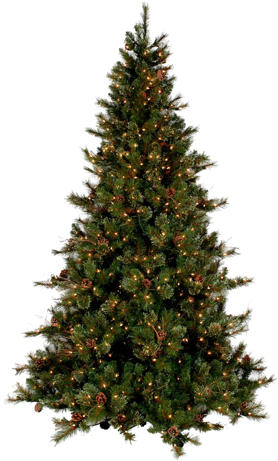 a christmas tree with lights on it