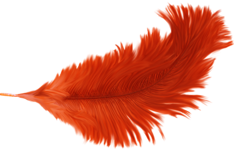 a red feather on a white background