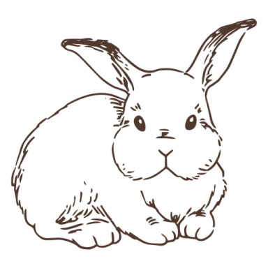 a black and white drawing of a rabbit