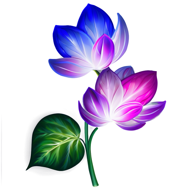 three colorful flowers with leaves on a white background