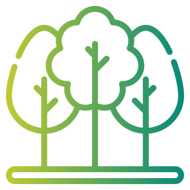 a green tree with three trees in the middle