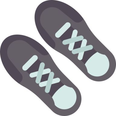 a pair of shoes