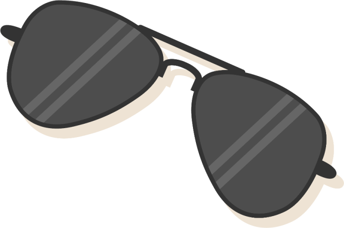 a pair of sunglasses
