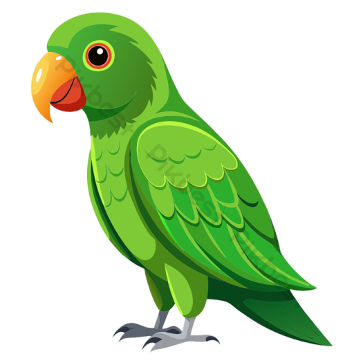 a green parrot on a white background