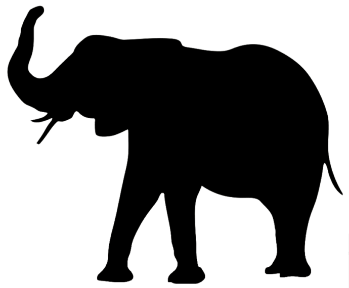 an elephant silhouetted on a white background