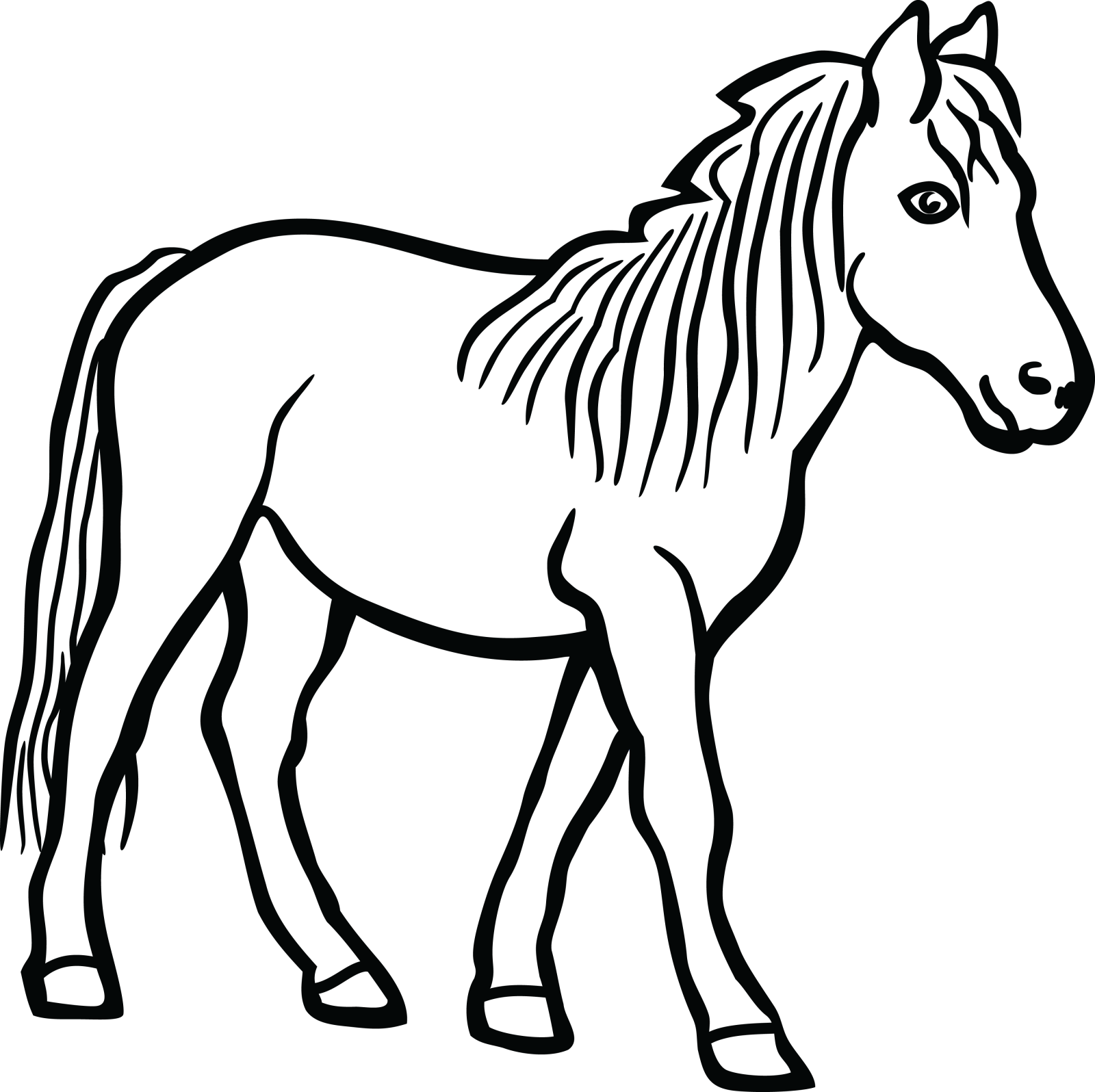 a black and white drawing of a horse