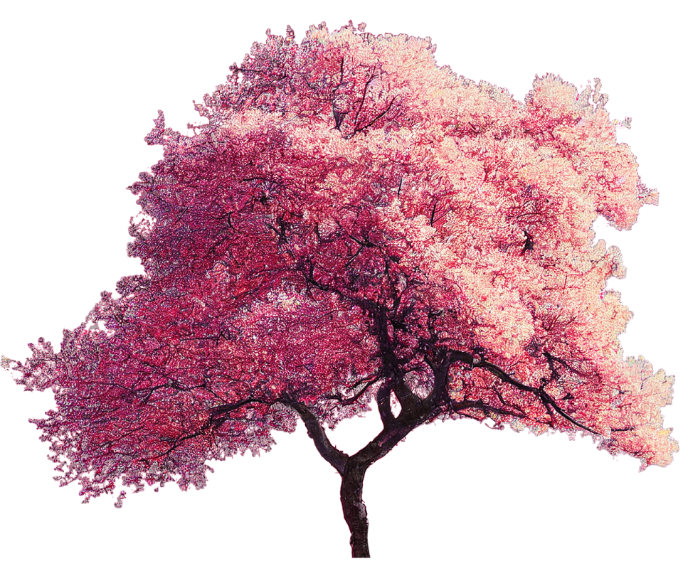 a tree with pink flowers on it
