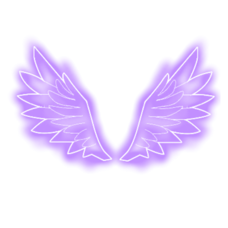 a pair of wings