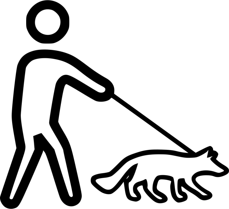 a person with a dog on a leash