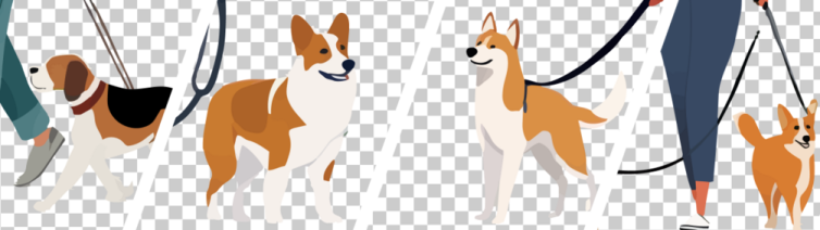 a group of dogs on a transparent background