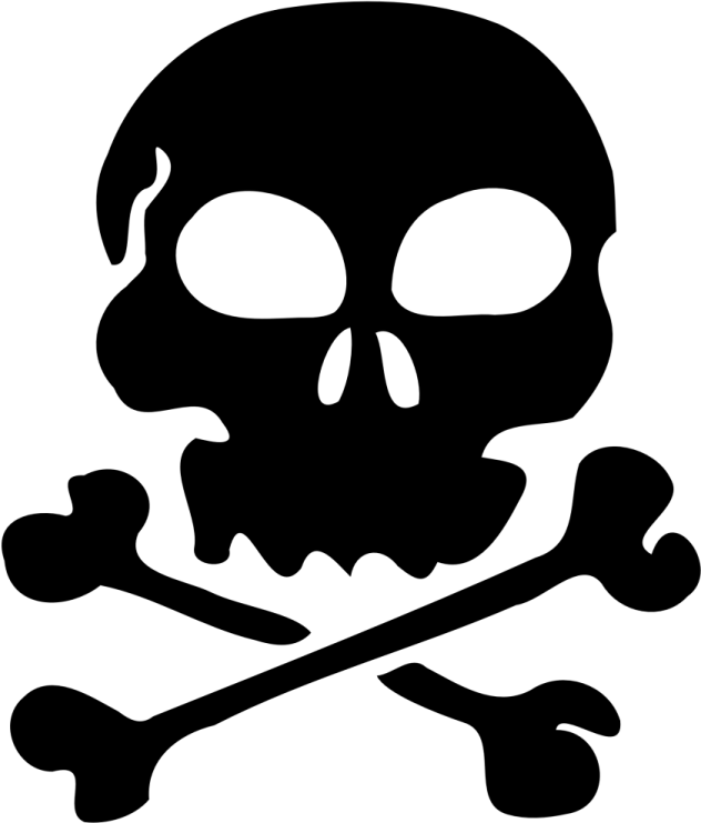 a skull and crossbone