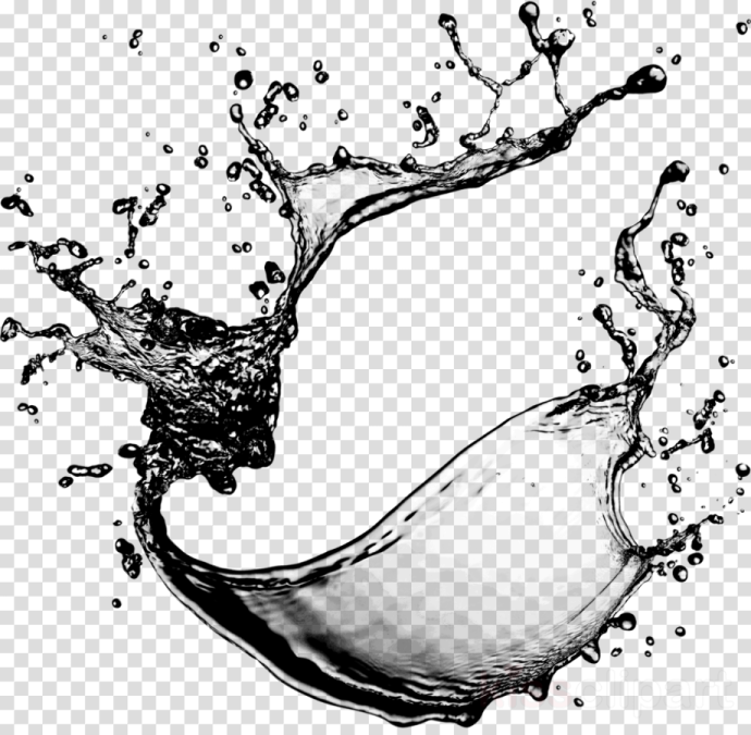 a splash of water on a transparent background