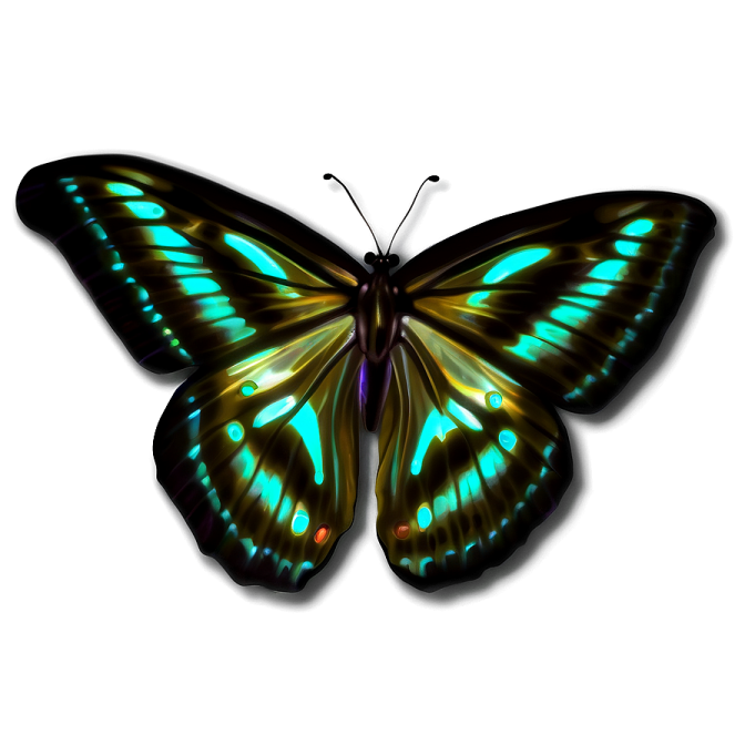 a green and black butterfly on white background