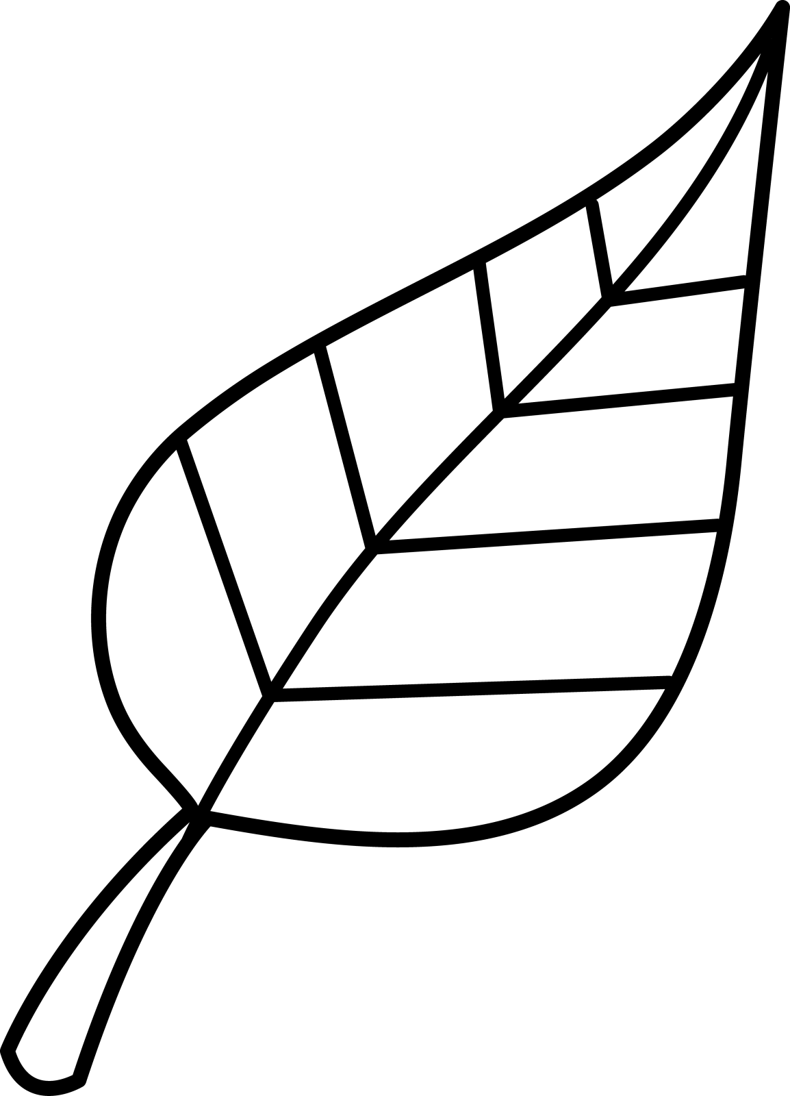 a black and white drawing of a leaf
