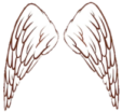 a pair of angel wings