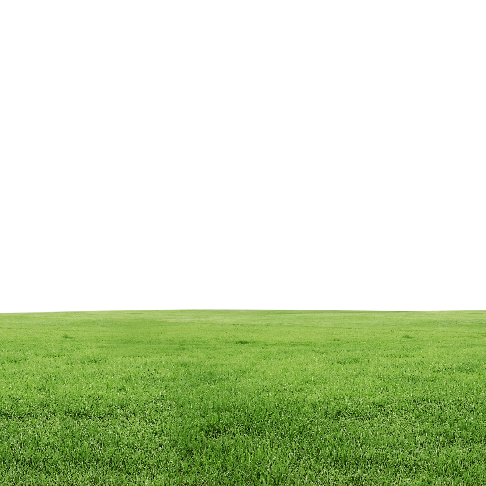 a field of green grass with a white sky