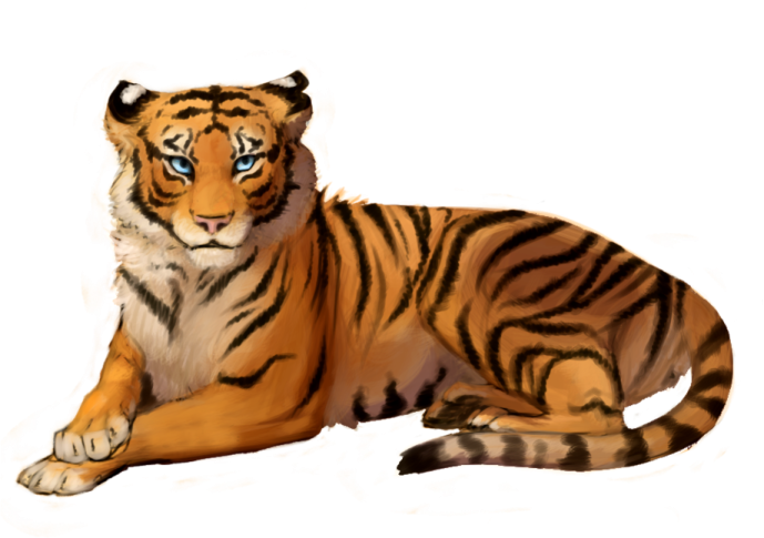 a drawing of a tiger laying down