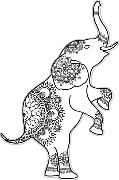 an elephant with patterns on it's back