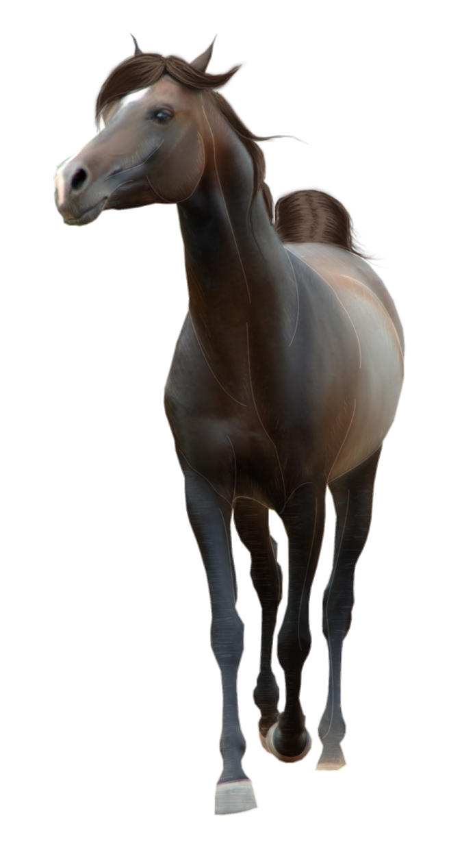 a brown horse standing in front of a white background