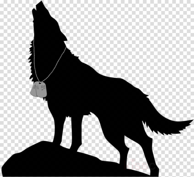 a silhouette of a wolf standing on a rock, with the moon in the background
