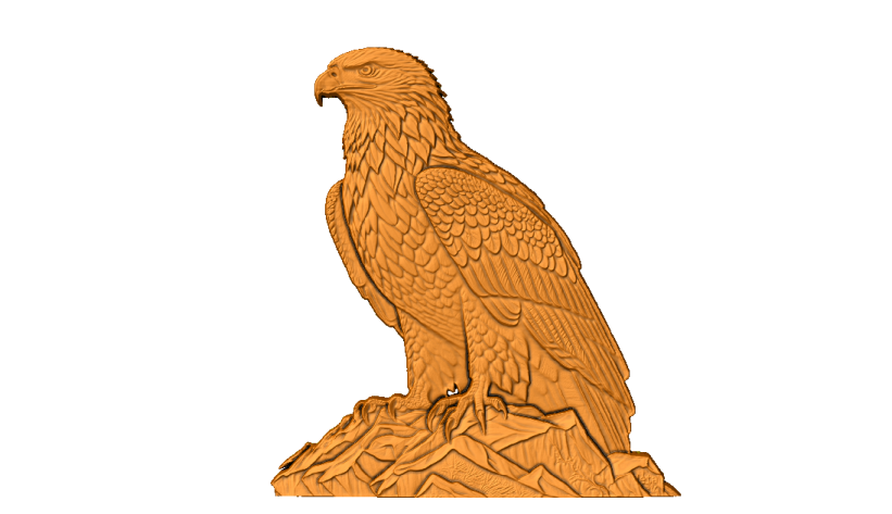an eagle sitting on top of a rock