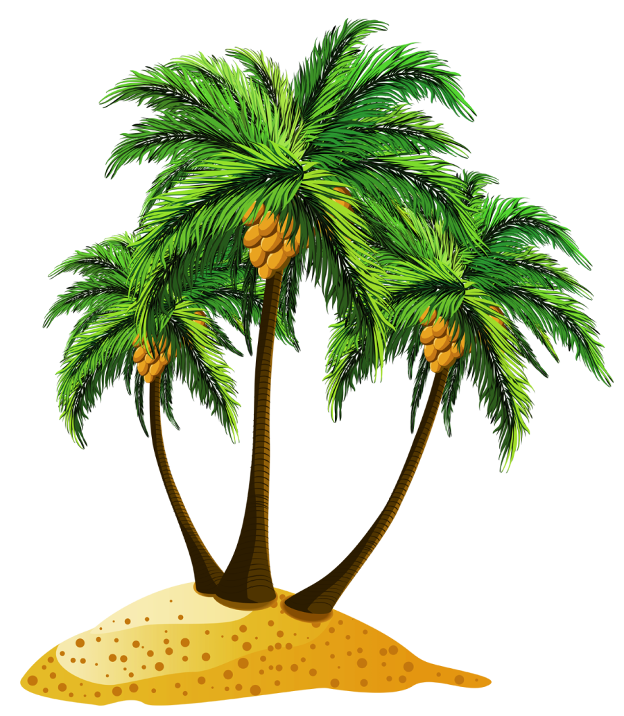 a palm tree on an island