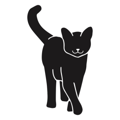a black cat silhouetted on a white background
