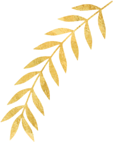 a gold leaf on a white background
