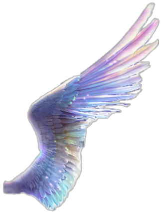 a blue and white bird with wings