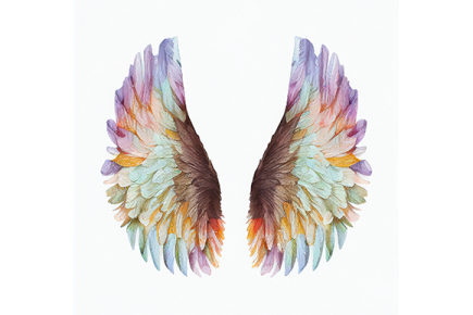 a pair of wings painted in watercolor