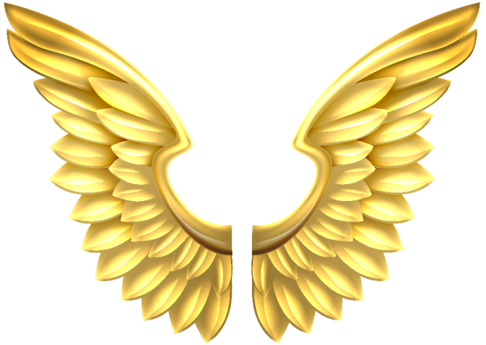 gold angel wings png