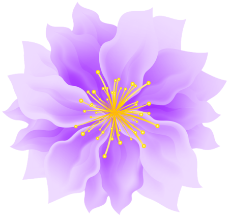 a purple flower on a white background