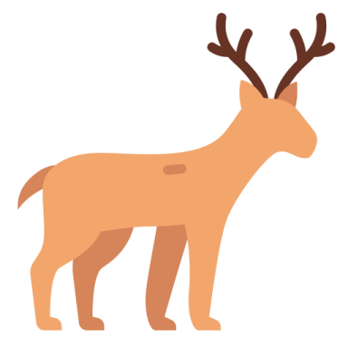 a brown deer standing on a white background