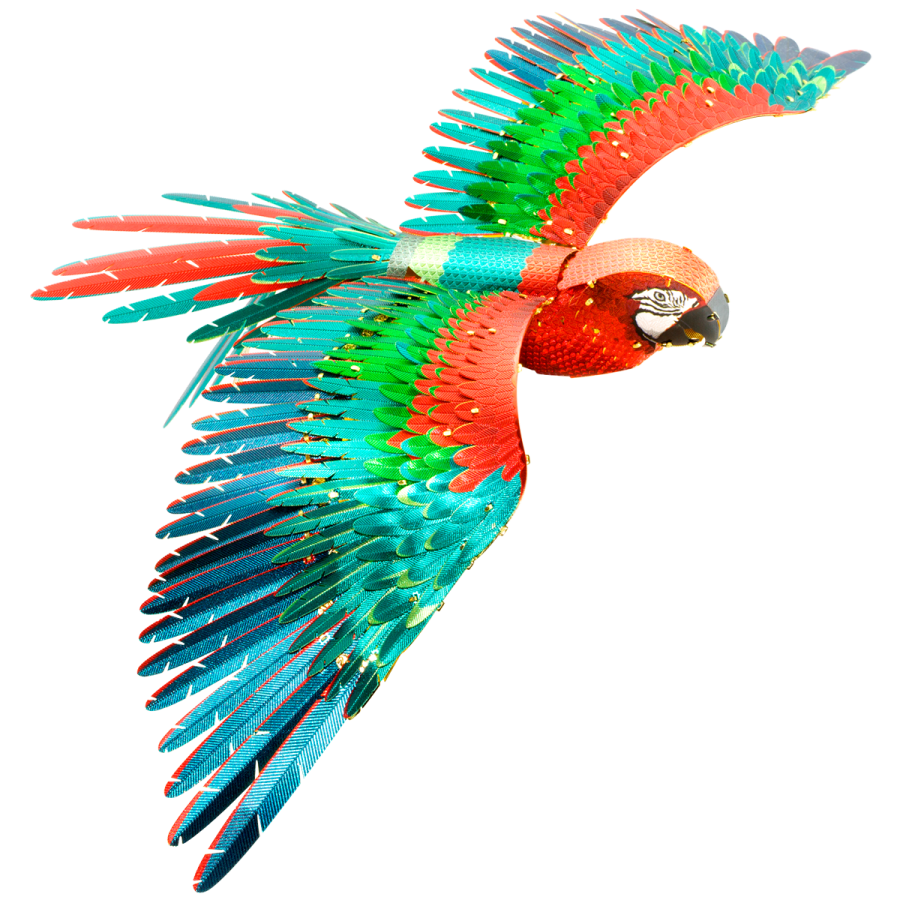 a colorful parrot flying through the air
