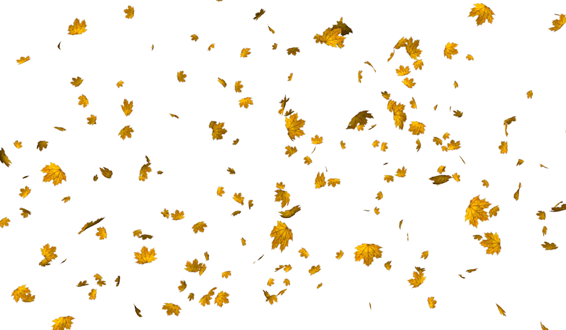a bunch of yellow leaves flying in the air