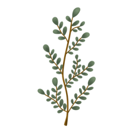 a branch with green leaves on it