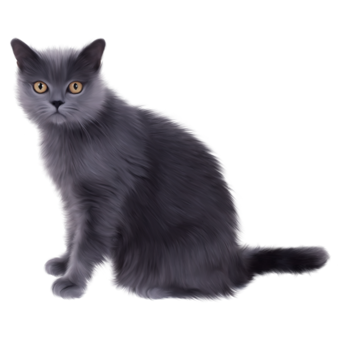 a black cat sitting down and looking at the camera