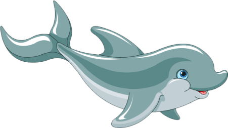 a dolphin with its mouth open
