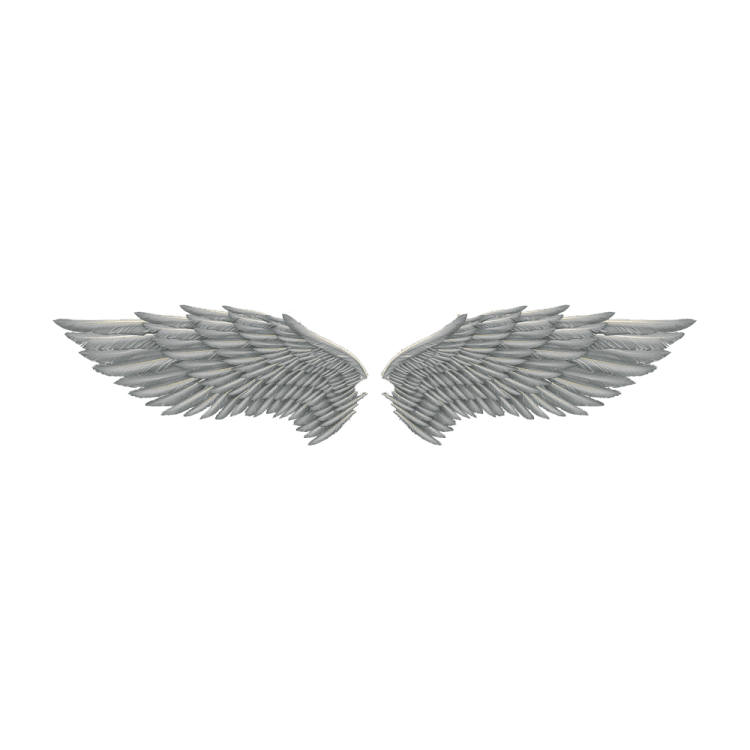 a pair of wings on a white background